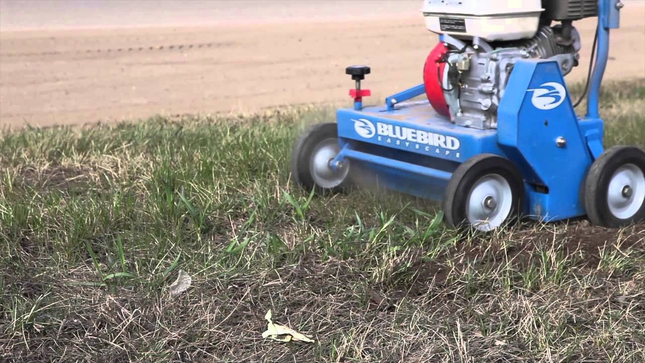 THATCHING - Gasoline