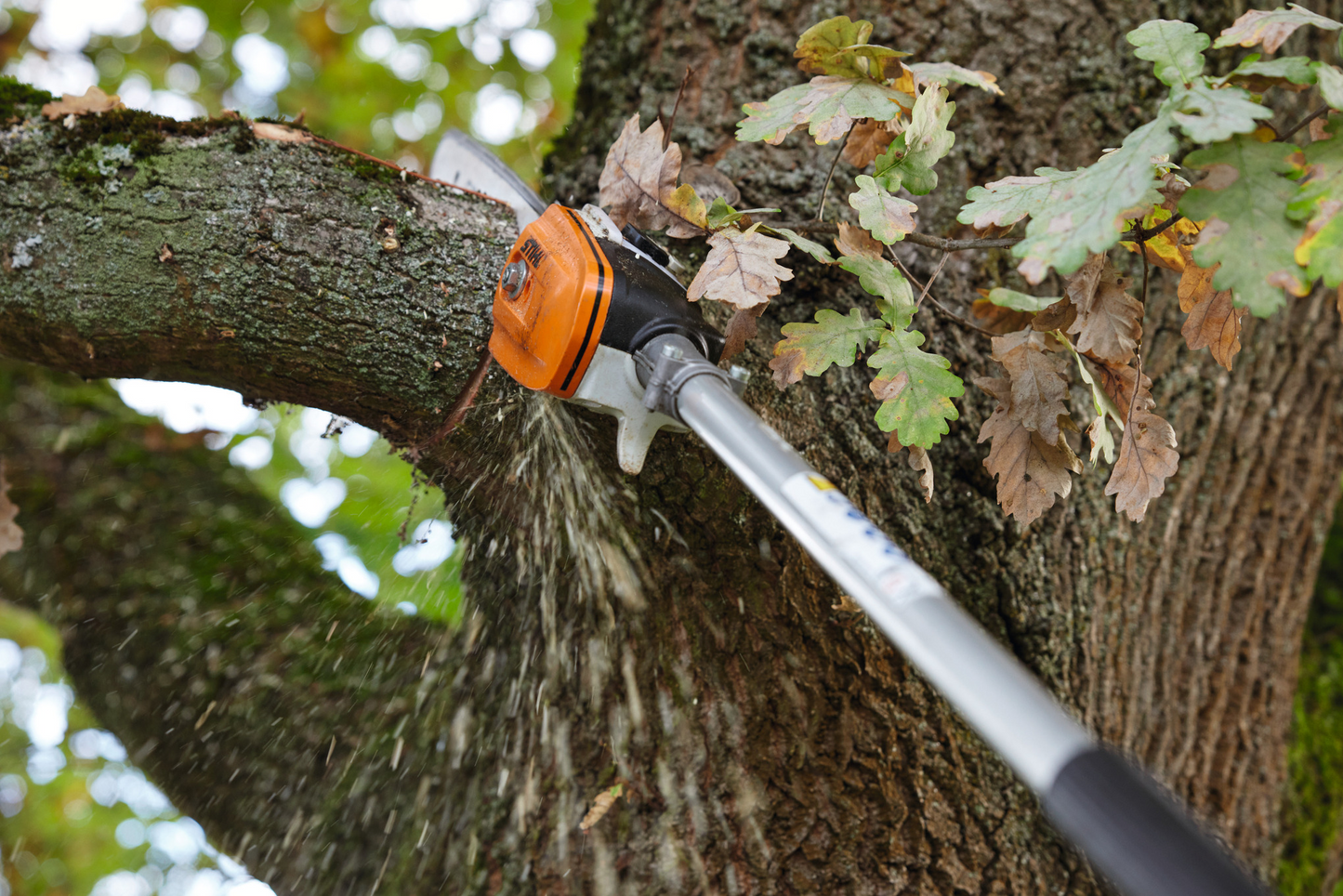 MSA300 Chainsaw